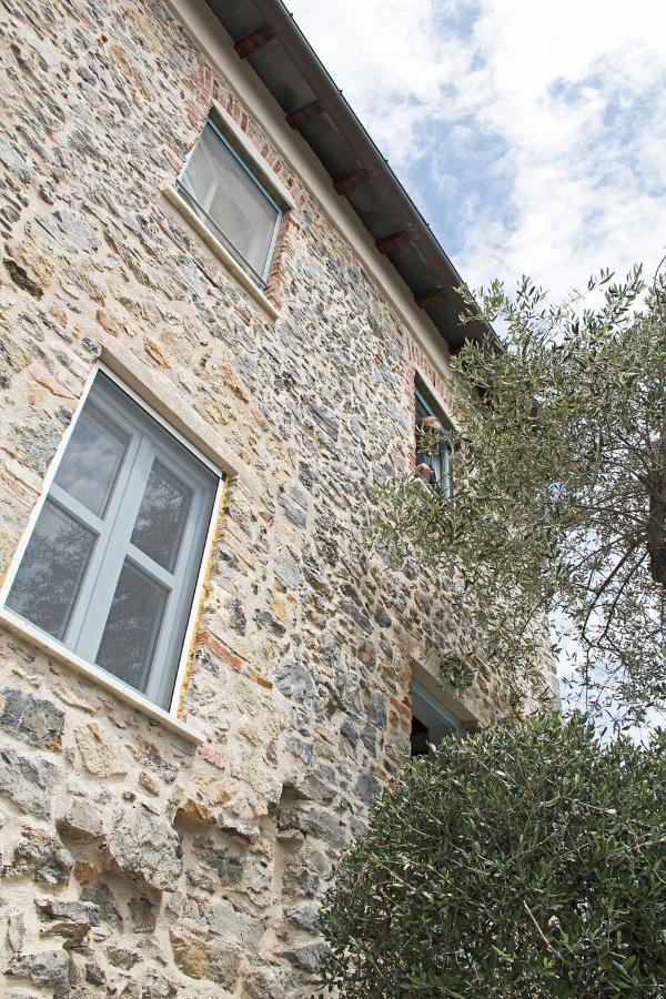 La Terrazza Con L'Ulivo - Guesthouse Con Terrazza E Vista Sul Golfo Dei Poeti La Spezia Bagian luar foto