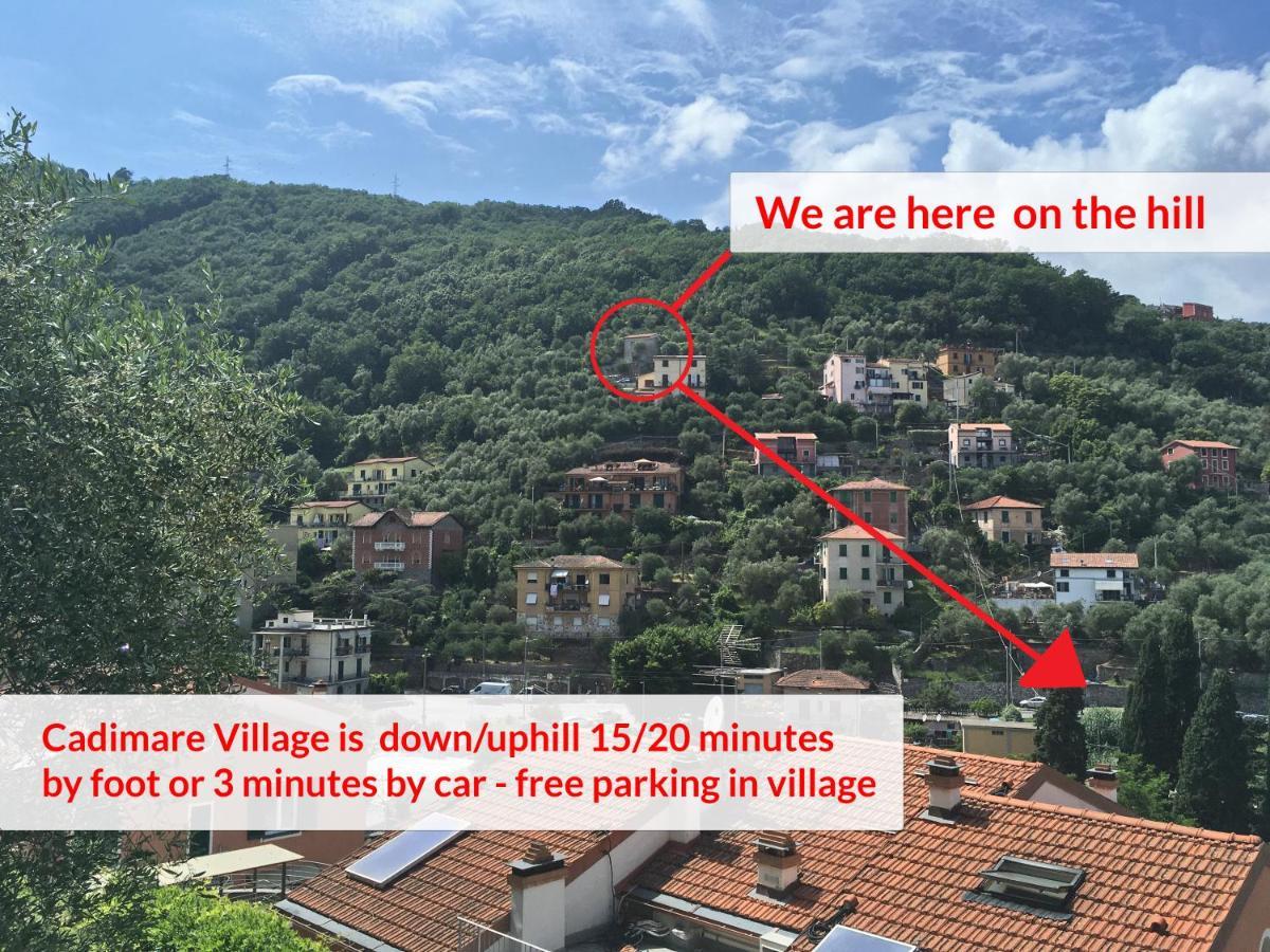 La Terrazza Con L'Ulivo - Guesthouse Con Terrazza E Vista Sul Golfo Dei Poeti La Spezia Bagian luar foto